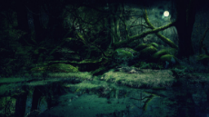 forest_background_by_vasha….jpg