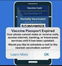 vaccine-passport-expired-cant-access-internet-banking-services-phone.jpeg