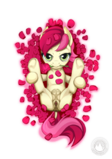 2193379__explicit_artist-colon-mysticalpha_roseluck_earth pony_pony_anatomically correct_anus_clitoris_crotchboobs_dock_female_flower_loo.jpg
