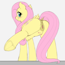1929186__explicit_artist-colon-evomanaphy_fluttershy_anus_blushing_crotchboobs_cute_cute porn_female_mare_nudity_pony_smiling_solo_solo f.png