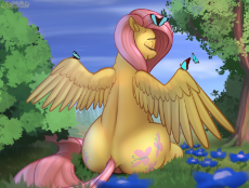 1997880__explicit_artist-colon-mercurial64_fluttershy_anus_bush_butterfly_casual nudity_eyes closed_female_flower_grass_nudity_pegasus_po.png