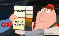 cnn-terrorist-mostly-peaceful-color-of-skin.png
