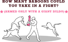 baboon dildo fight.jpg