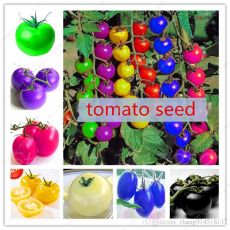 100pcs-bag-rainbow-tomato-seeds-rare-tomato.jpg