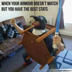 funny-memes-furniture-when-your-armour-doesnt-match-but-you-have-the-best-stats-wireless-jpeg.png