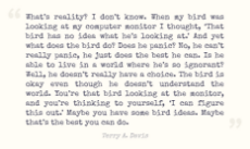 Terry Davis - What is reality - I don't know.jpg