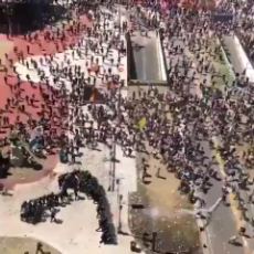 Argentina Covid protest looks like zombie apocalypse.mp4