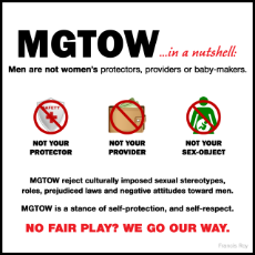 2014-11-08-mgtow-in-a-nutshell6.png