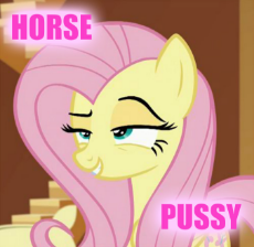 My Little Pony - Horse Pussy - (04).png
