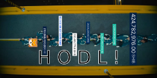 HODL_FOR_YOUR_LIFE-1.png
