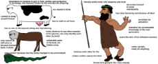 Virgin_Animals_vs._Chad_colonist.png