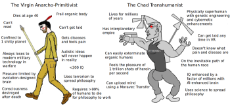 virgin-primitivist-vs-chad-transhuman.png