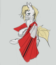 13_Pony_Aryanne_with_flag_WIP.png