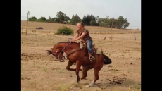 Tough Girl Gets Tossed From Horses Back-1.mp4