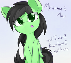 AnonFilly-NoIdea.png