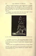 Chemistry of the Sun by Lockyer (1887) Metallic Prominences 1.jpg