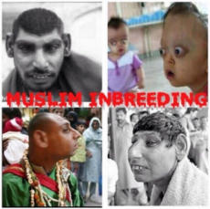 moslim-inbreeding-examples-living-proof-banner.jpg