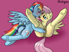 1153088 - Fluttershy Friendship_is_Magic My_Little_Pony Rainbow_Dash drahgoon.png