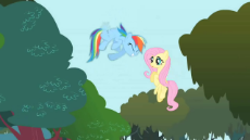 Fluttershy has stopped working.webm