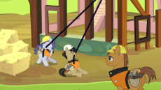 Ponies_on_construction_sit….png