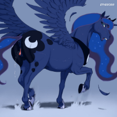 Luna horse.jpg