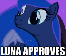 Luna approves.png