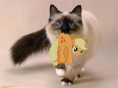 appulkitty.png