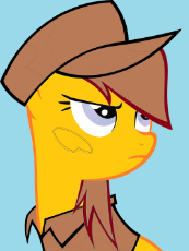 mlpol filly test template ….png