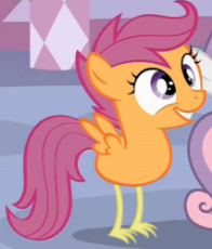 Scootaloo-my-little-pony-friendship-is-magic-38436632-427-500.png