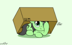 AnonFilly-HidingUnderBox.png