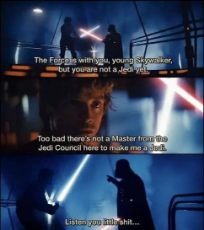 star-wars-force-strong-skywalker-not-jedi-master-council.jpeg