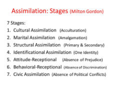 Assimilation- Stages (Milton Gordon).jpg