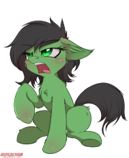20_safe__orang_filly_anon__angry_cheek_fluff_chest_fluff_ear_fluff_female_filly_floppy_ears_simple_background_s.png