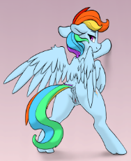 1903154__explicit_artist-colon-dimfann_rainbow dash_anatomically correct_anus_ears down_female_leaning_looking back_nudity_pegasus_ponut_.png