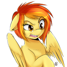 spitfire_1_year_reaction_b….png