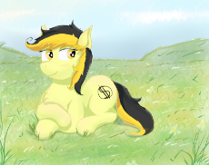 6280717__safe_artist-colon-fdv-dot-alekso_oc_oc+only_oc-colon-leslie+fair_earth+pony_pony_chest+fluff_featured+image_female_lying+down_mare_smiling_solo.png