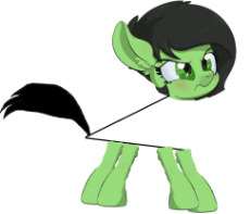 acute filly.png