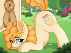 2165938__explicit_artist-colon-negasun_pear butter_earth pony_pony_anatomically correct_and that's how big mac was made_anus_butt_close-d.png