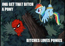bitches love ponies.jpeg