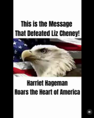 USA - This is the message that DEFEATED Liz Cheney.mp4