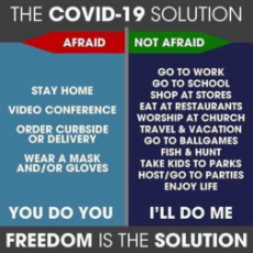 covid-19-solution-afraid-stay-home-wear-mask-not-afraid-go-to-work-school-shop-eat-take-kids-to-park-freedom-is-solution.jpg