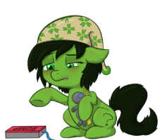 Bumpfilly.png
