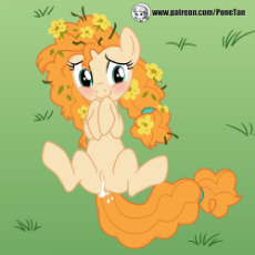 2041255__explicit_artist-colon-cloppy hooves_pear butter_afterglow_aftersex_blushing_creampie_cum_cute_cute porn_earth pony_female_flower.png