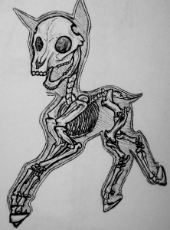 My Little Pony - Skeleton.jpg