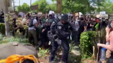 Cops Assault Unarmed Peaceful Protesters for Sport.mp4
