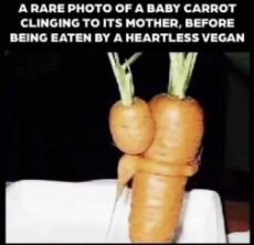 rare-photo-baby-carrot-clinging-mother-eaten-heartless-vegan.jpg