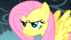 Fluttershy - The stare.gif