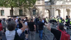 Dominic Buxton - There are actually people doing Nazi salutes 100 metres from the Cenotaph. Do they even know how hypocritical that is 🤦🏻‍♂️-1271776304917028867.mp4