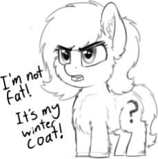 fluffy filly.png