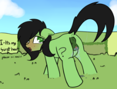 filly filly.png